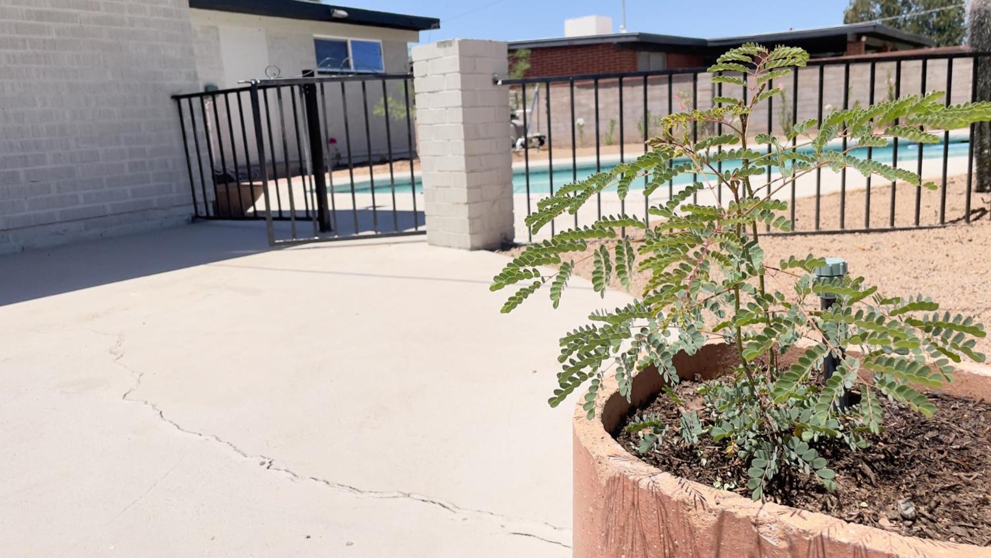 Private Home - Heated Pool, Billiards, Darts, Foosball, Fireplace, 5 Smart Tvs, Bbq, Cotton Bedding - The Saguaro Sanctuary, Pool Heat Optional Тусон Экстерьер фото